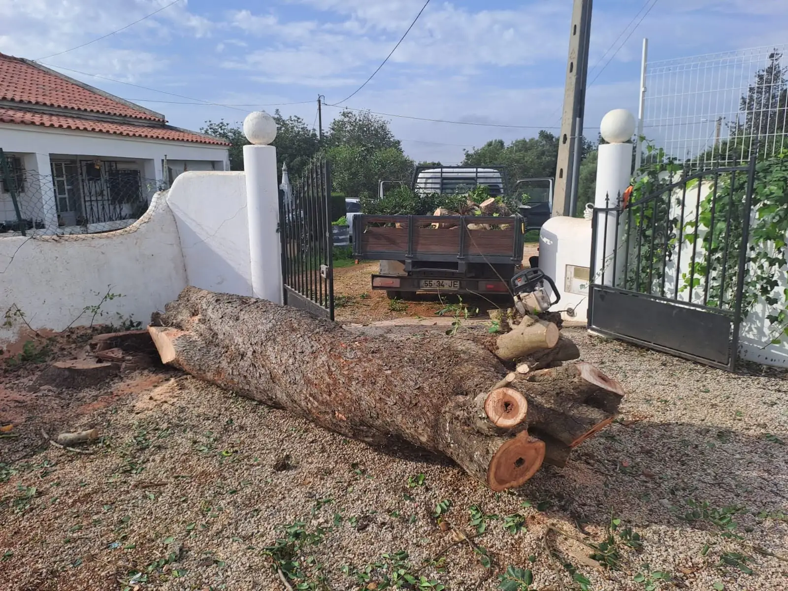 Tree pruning and felling, Algarve 8