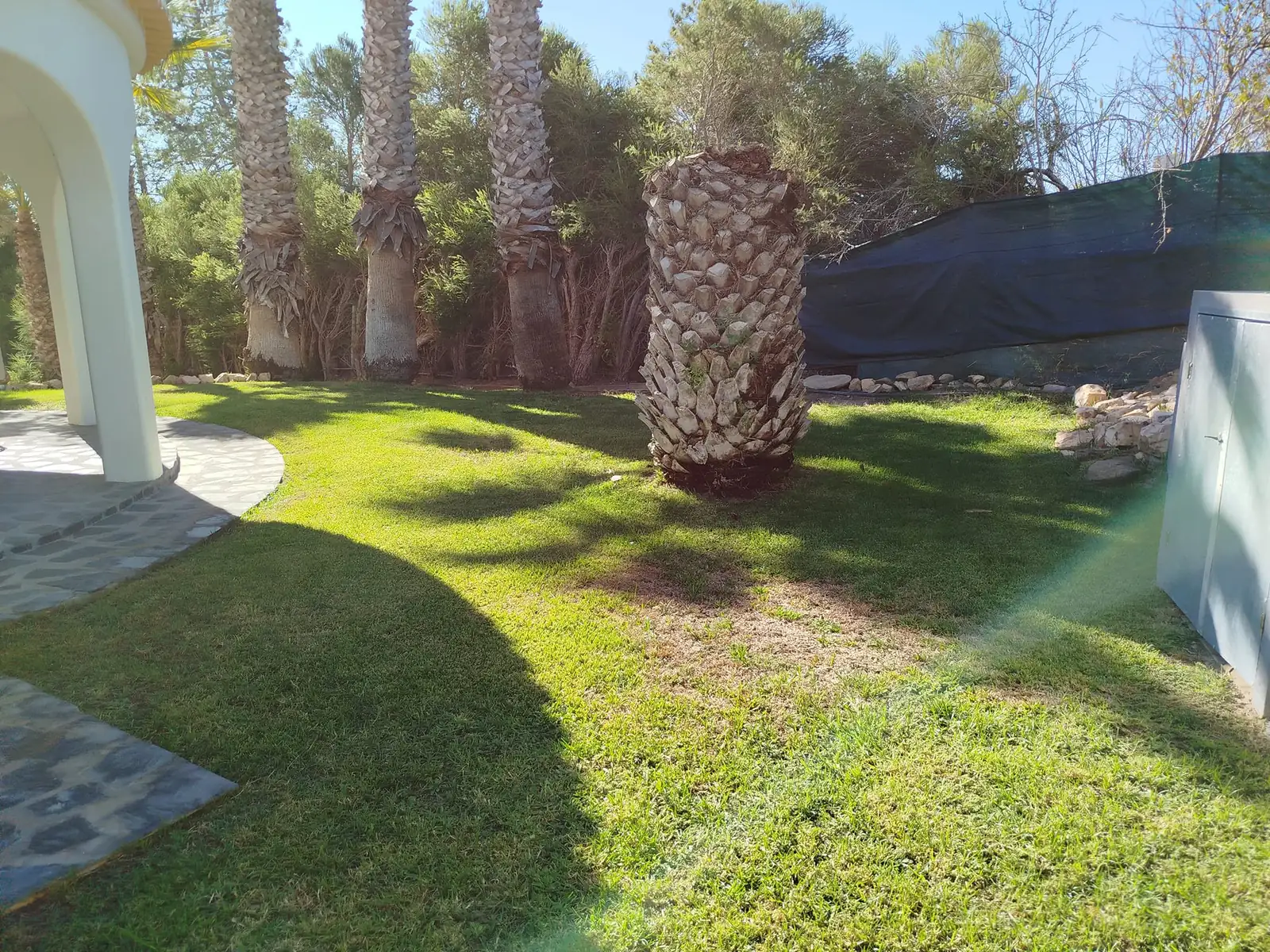 Tree, palm and garden projects in the Algarve 10 (Before)