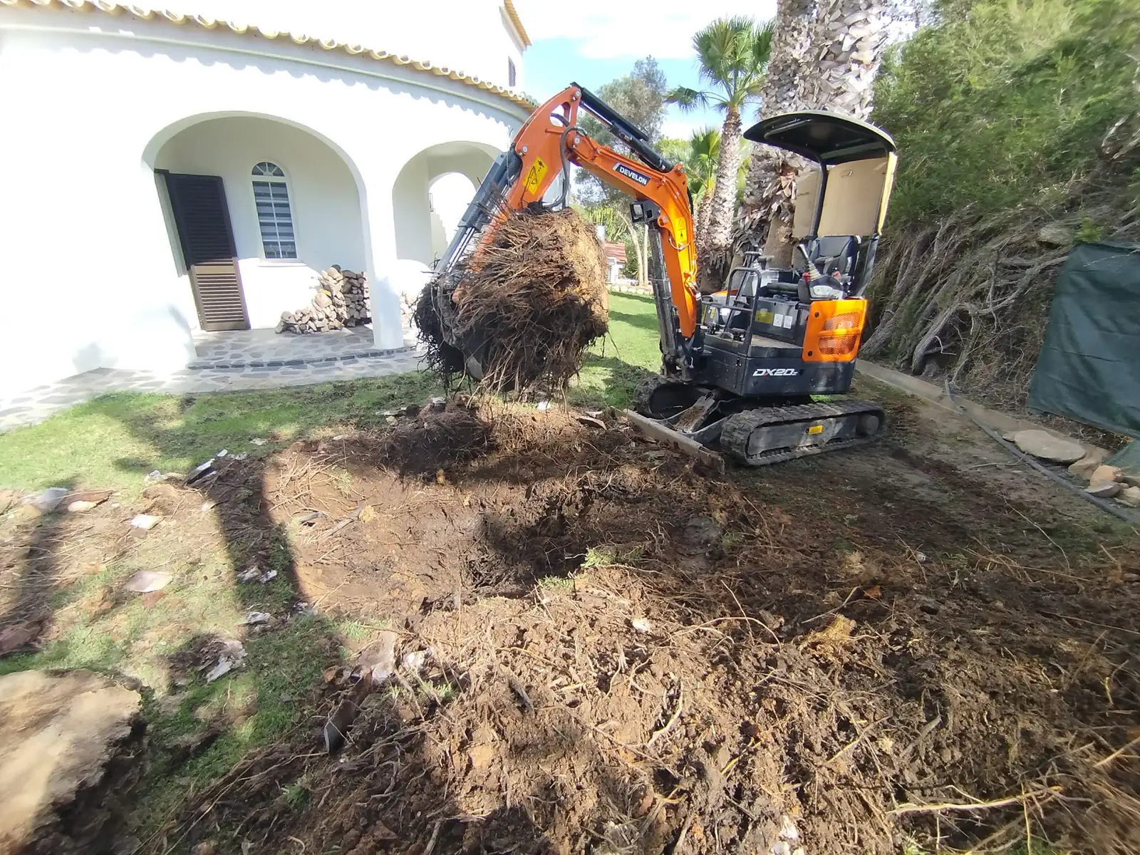 Tree, palm and garden projects in the Algarve 10 (After)
