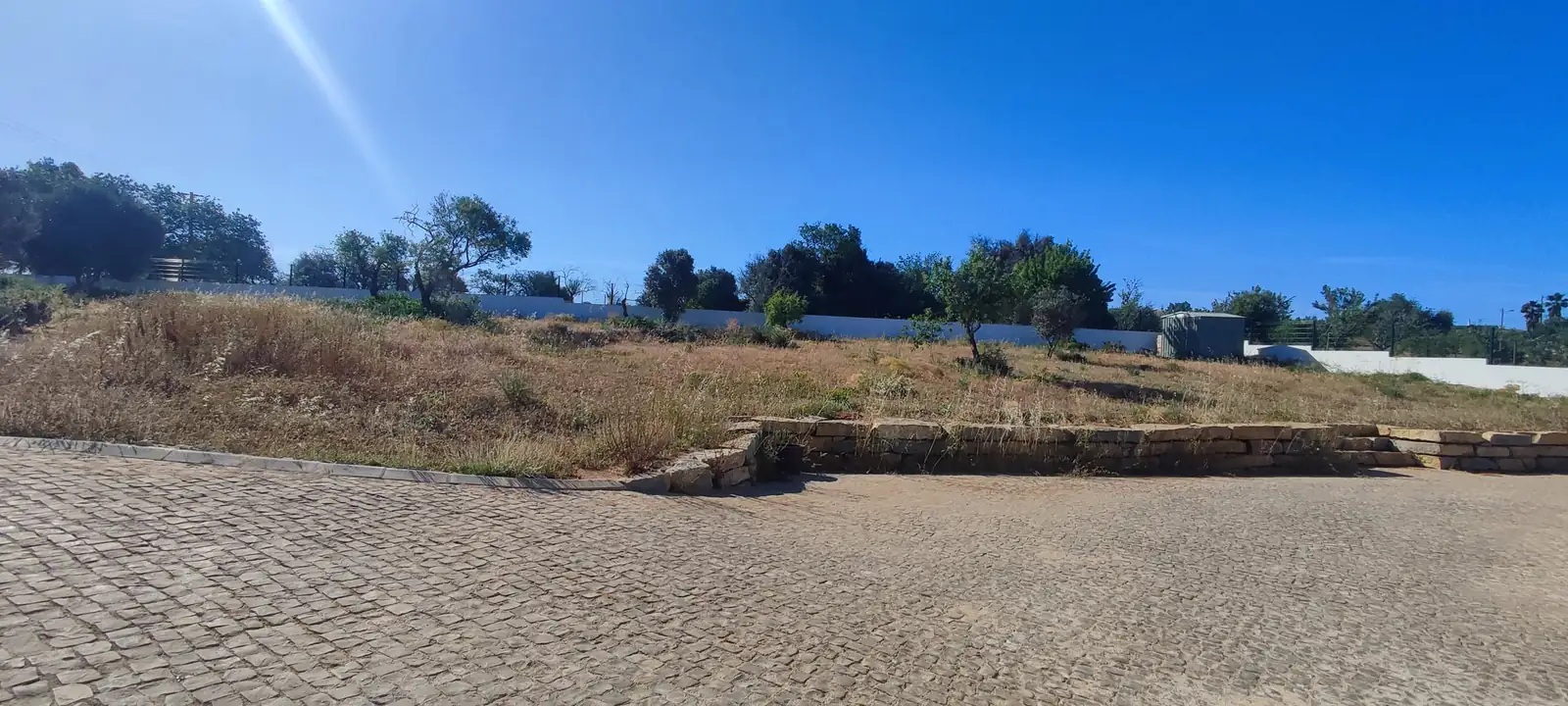 Land clearing 1 (Before)
