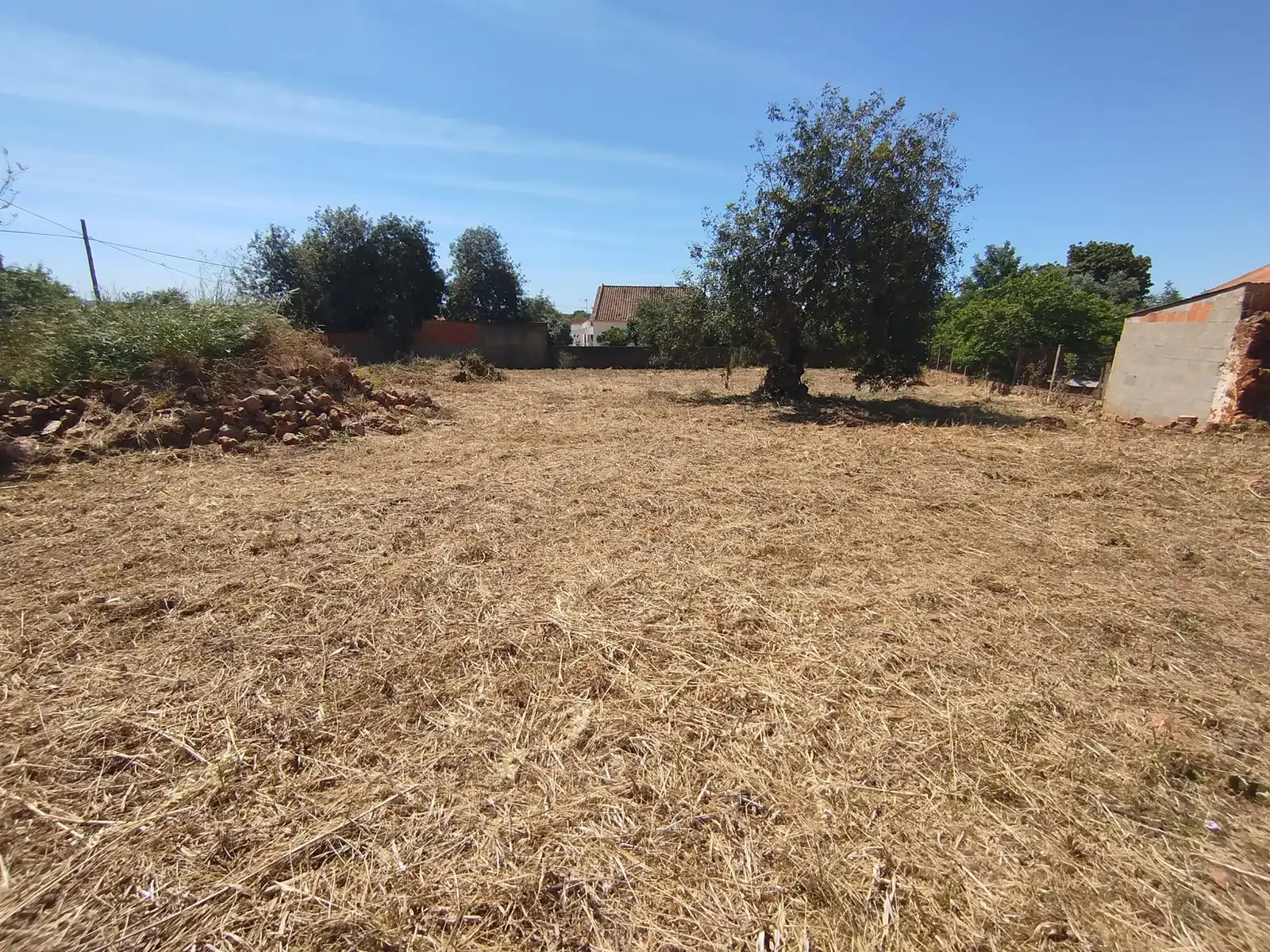 A cleared strip around the house is what buys the firefighters time