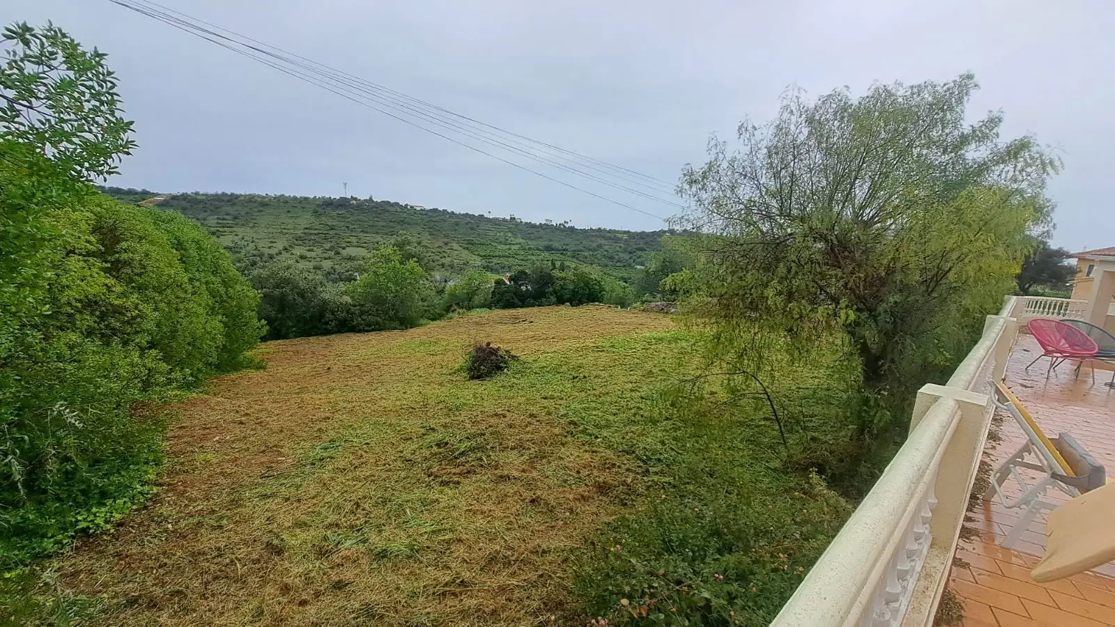 Land clearing 4 (After)