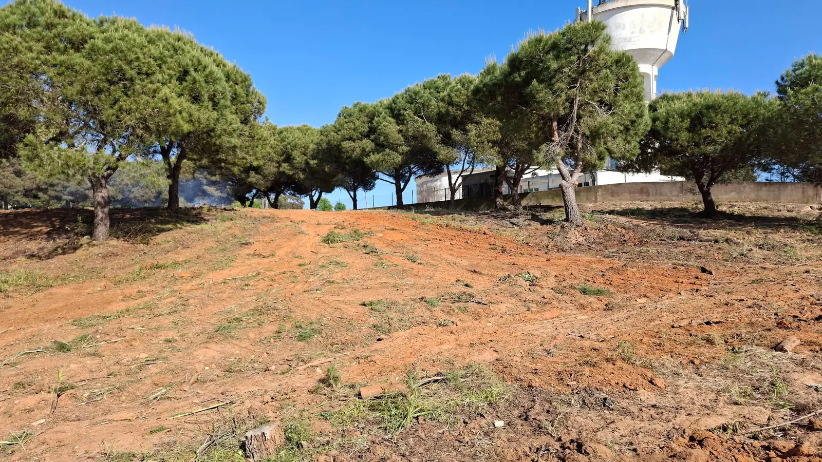 Land clearing, Algarve 5