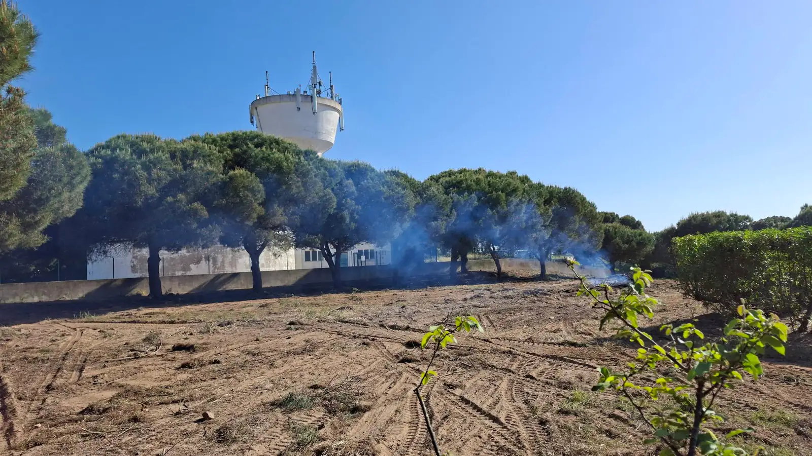 Land clearing, Algarve 7