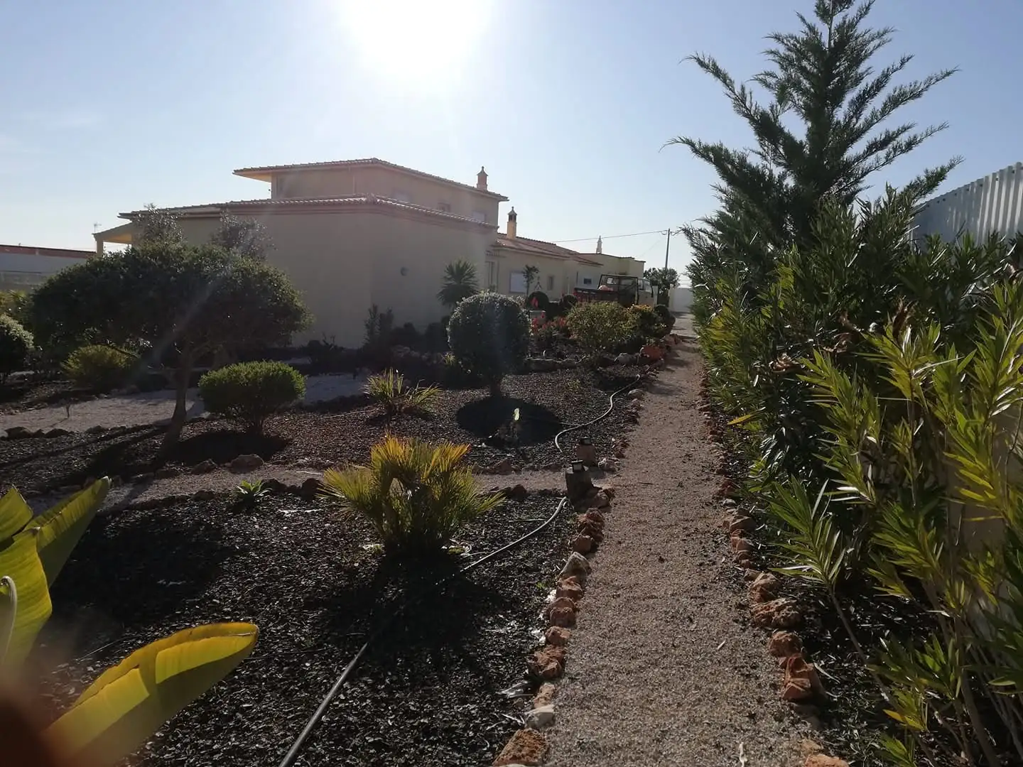 Entretien de jardins, Algarve 3