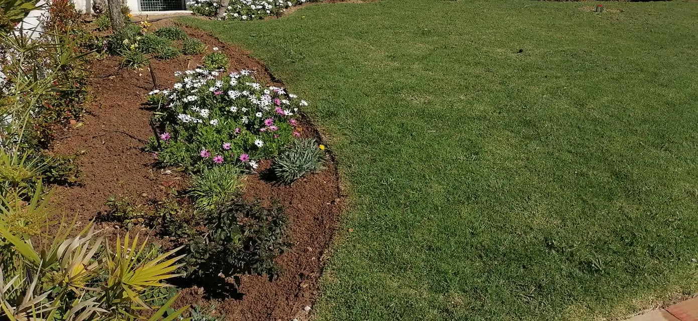 Entretien de jardins, Algarve 5