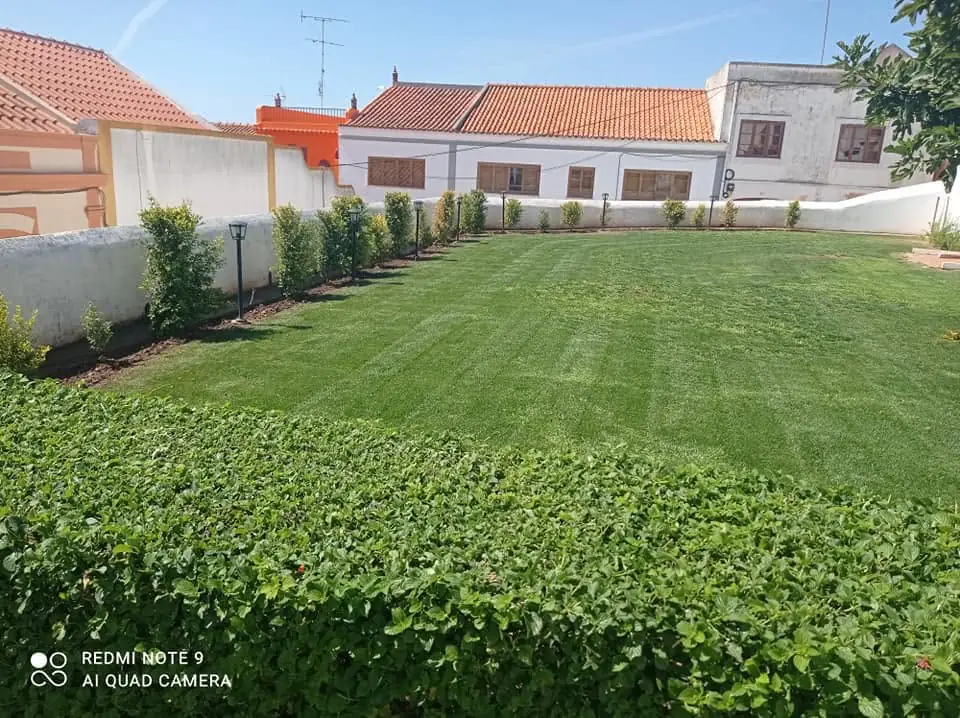 Entretien de jardins, Algarve 7