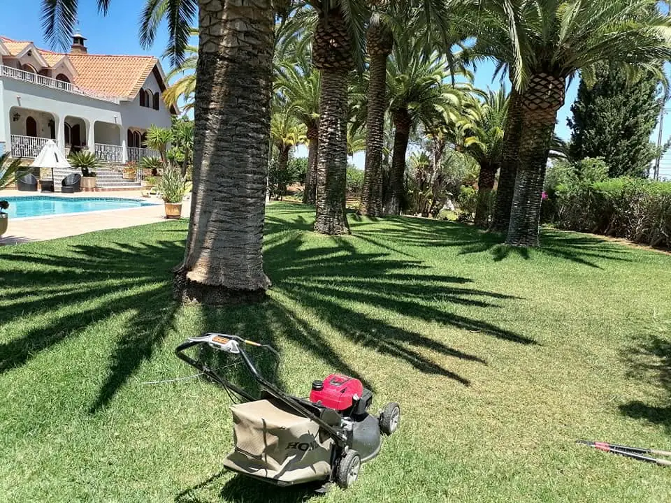 Gardening guides for the Algarve climate