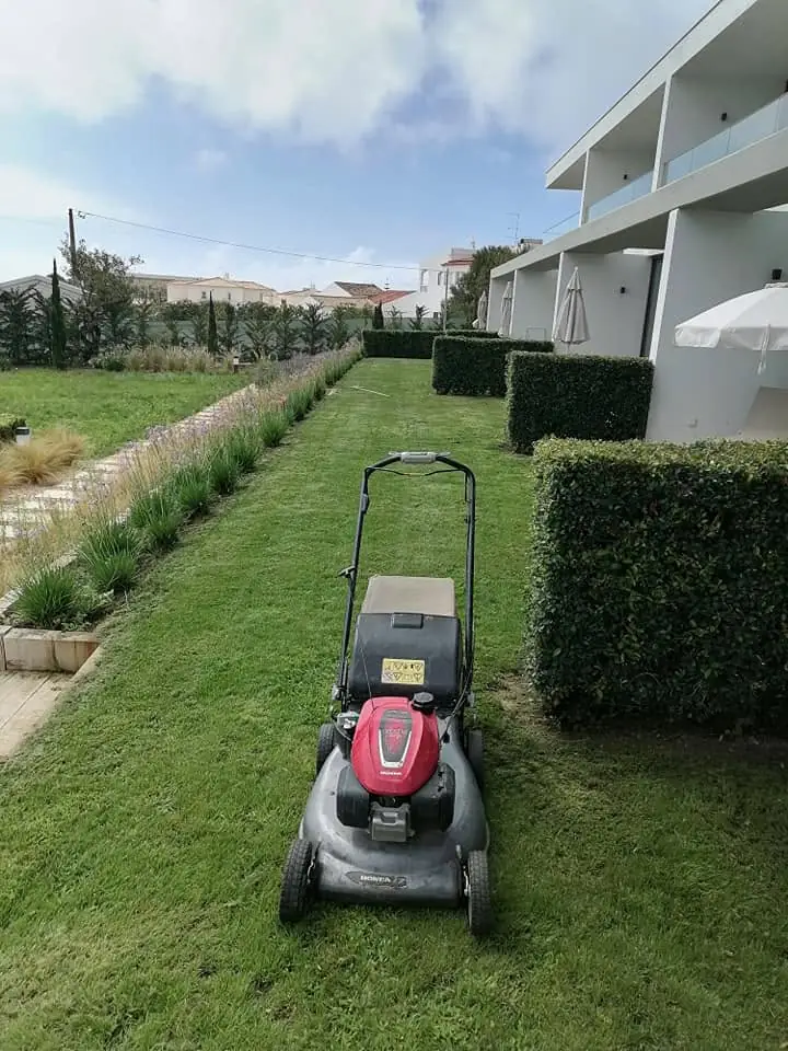 Entretien de jardins, Algarve 11