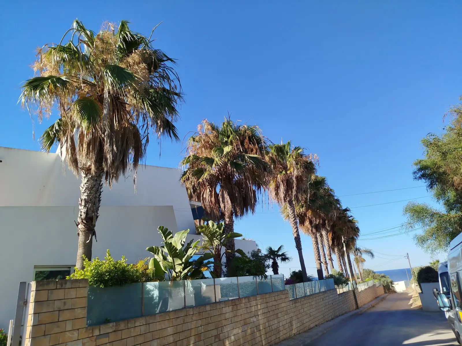 Tree, palm and garden projects in the Algarve 3 (Before)
