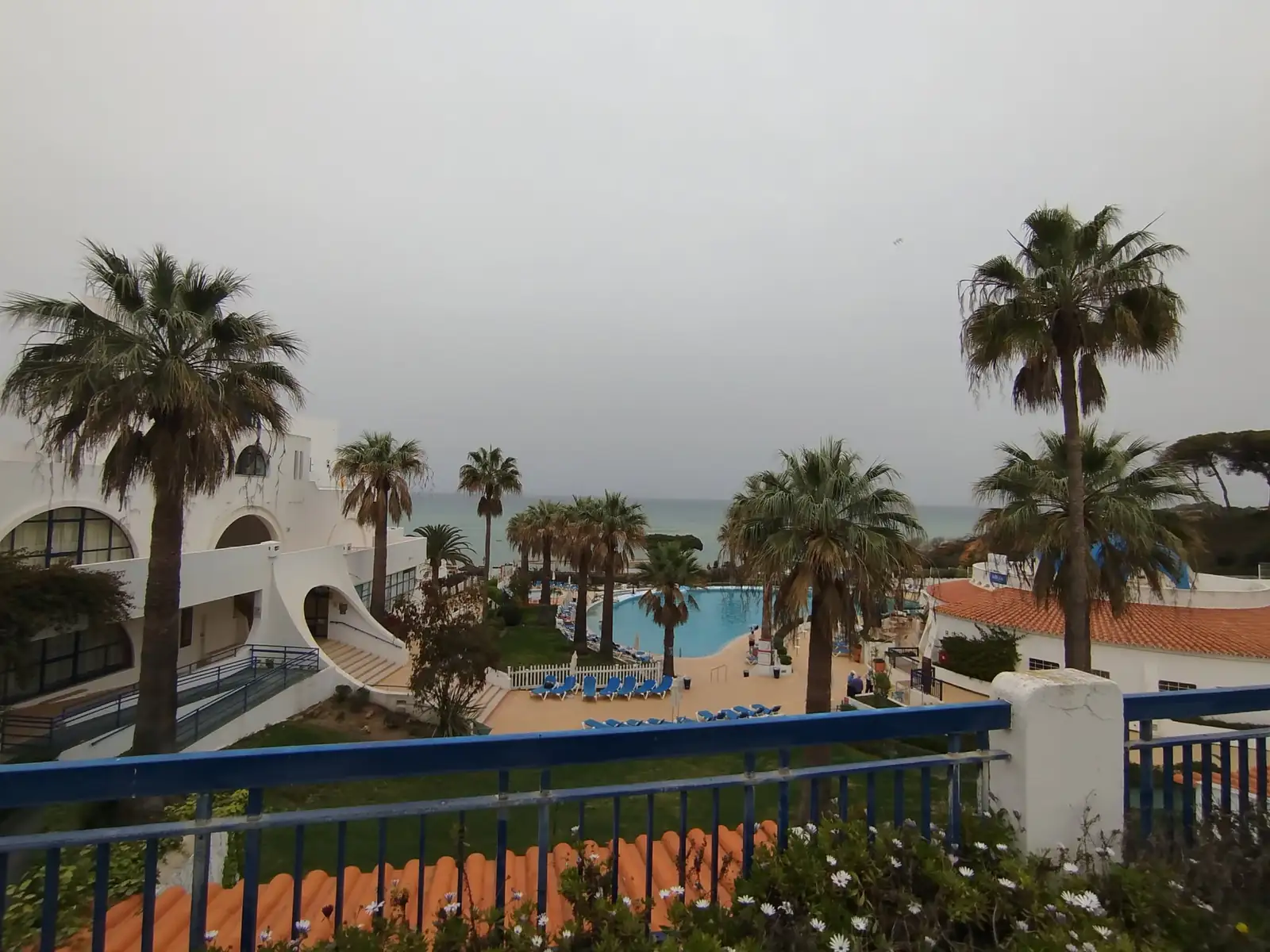 Tree, palm and garden projects in the Algarve 4 (Before)
