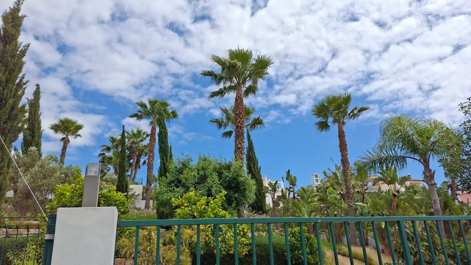 Tree, palm and garden projects in the Algarve 7 (After)