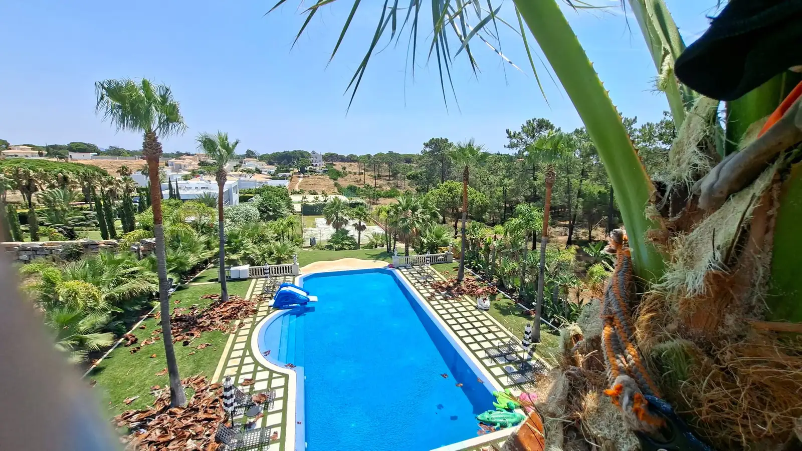 Tree, palm and garden projects in the Algarve